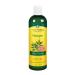 TheraNeem Gentle Therap Shampoo | Soothing Formula w/Organic Neem Oil | All Hair Types & Sensitive Scalp, Vegan | 12oz