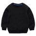 Taigood Kids Jumper for Boys Cotton Sweatshirt Long Sleeve T Shirts Pullover Autumn Winter Age 1-7 Years 2-3 Years Black