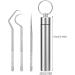 3-Part Reusable Toothpick Bag Sail | Portable Metal Toothpick & Fruit Fork | Tooth Cleaning Tools with Storage Box - International Shipping Available - Buy Online on GoSupps.com