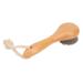 Beech Handle Facial Cleansing Brush Soft Fiber Hair Deep Pore Cleaning Skin Scrubber for Effective Cleansing Exfoliating Massage with Portable Design Wide Range of Use