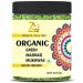 GAGZI Natural Green Madrasi Saunf Mouth Freshener Mix 200 GM 200 Gram - Buy Online on GoSupps.com