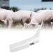 Pet Thermometer Dog Thermometer Fast Digital Veterinary Thermometer Pet Thermometer For Dogs Cats Horse Cattle Pigs Birds Sheep - Buy Online on GoSupps.com