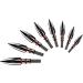 Field Point Field Tips 100/125/150/200 Grain Hunting Arrow Points - 5/16 Threaded Arrows (12 per Dozen) - Buy Online on GoSupps.com