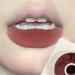  BADALO Velvet Mist Water Mist Lip Mud Soft Silky Matte Vegan White Lip Gloss Non-stick Lip Glaze Lipstick (Color : 2chestnut) - Buy Online on GoSupps.com