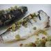 Sardines in olive oil Bom Petisco 6 x 120 g | Rich in omega 3 - Buy Online on GoSupps.com