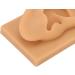 Flexible Silicone Right Ear Model for Teaching, Ear Picking, and Piercing - Waterproof & Realistic Simulation Display Accessory - Buy Online on GoSupps.com