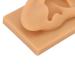 Silicone Ear Model for Hearing Amplifier Display - Flexible & Waterproof Simulation ear Mould for Science Education - Buy Online on GoSupps.com