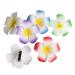 Pretyzoom hawaii decoration 12 pieces hawaiian plumeria hairpins hair clip bracked hair clip hairspong hair accessories for tropical beach party wedding party decoration (9 cm mixed color)