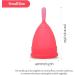 Edicare Menstrual Cup Set - 2 Medical Silicone Cups Sterilizer & Carrying Bag | Soft & 100% Safe (S - Original Edition) - Buy Online on GoSupps.com