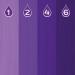 Crazy Color Purple Power Pigments 30 Uses | Ultra Concentrated Pigments Custom Toner & Semi-Permanent Dye from Home | Vegan Formula | No Bleach or Ammonia | 30ml - Buy Online on GoSupps.com
