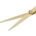 Hair Cutting Scissors Professional Home Barber Shears Stainless Steel with Incisive Blades - Buy Online on GoSupps.com