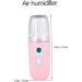 Beavorty 2 pcs Hydrating instrument hand held steamer nano facial mister portable face steamer water mist 11X3.6X3.6cmx2pcs Pinkx2pcs - Buy Online on GoSupps.com