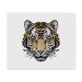 2 x Microfiber Cleaning Cloths "Fierce Tiger" (LC00024495)