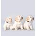 Buy Baltic Secret Dog & Cat Neck Band - Adjustable Leather Strap Natural Flea Treatment Perfect Gift for Animal Lovers - Buy Online on GoSupps.com