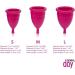 Genial Day Large Menstrual Cup for Comfortable Flow | Eco-Friendly & Reusable - Buy Online - Buy Online on GoSupps.com