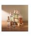 Being Frenshe Hair Body & Linen Mist Body Spray with Essential Oils - Bergamot Cedar - 5 fl oz - Buy Online on GoSupps.com