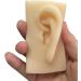 Human Ear Model Flexible Soft Silicone Imitation Real Ear Teaching Model -1 Pair Ear Mold Artificial Display Sample Educational Resources in Scienc - Buy Online on GoSupps.com