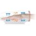 Titan AmaMedic Hand Massager - Wireless Acupressure Massage for Easy Relaxation | Shop Internationally - Buy Online on GoSupps.com