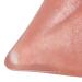 Moisturizing Lip Plumper Gloss - Metallic Nude Ginger Mint | Hydrating Lip Fuller Serum for Luscious Lips - Buy Online on GoSupps.com