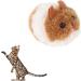 Shop Cute Plush Mouse Toys - Mechanical Moving Pull-Up Toy for Cats & Dogs - Random Colors - Buy Online on GoSupps.com