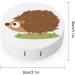 Cartoon Hedgehog Round Case For Contact Lens Kit Storage Box with Mirror Printed - Buy Online on GoSupps.com