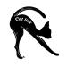 BIUDECO 2pcs Eyeliner Pen Stencil Sheets - Cat Eye Stencil Template Set - Buy Online on GoSupps.com