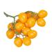 OUNONA Simulated Small Tomatoes Models Cherry Tomatoes Decor Photography Props Artificial Cherry Tomatoes Model Faux Fruit Decor Realistic Party Decor Foam Fake Fruit Window Yellow 4.00X2.00X2.00CM