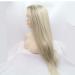 SHIYID Brown Blonde Long Silky Straight Synthetic Lace Front Wig - Heat Resistant Fiber for Women - Buy Online on GoSupps.com
