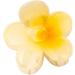Tuxxjzm Hair Clips For Women Flower Hawaiian Flower Cute Hair Clip | Strong Hold Hair Clips Flower Hair Accessories For Women & Girls For Thick & Thin Hair Gradient custard - Buy Online on GoSupps.com