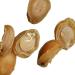 Dried Abalone (100g(0.22pounds))