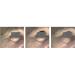 Ageless Beauty Instant Face Lift with Hyaluronic Acid, Acai Extract, Argireline, Matrixyl 3000 - Reduces Eye Bags, Wrinkles, Lines, Puffiness | Tighten Skin Instantly - 10mL, 2 Vials - Buy Online on GoSupps.com