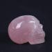 Natural Crystal Rough 1PC Natural Rose Quartz Crystal Skull Taxidermy Reiki Statue Pink Stones - Buy Online on GoSupps.com