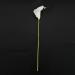 Buy PHTOIT Calla Lily 10 Head Latex Real Touch KC51 White - Premium Quality Artificial Flowers for International Shipping - Buy Online on GoSupps.com