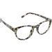 Peepers Canyon Round Blue Light Blocking Reading Glasses Gray Tortoise 49mm 1.25x - Stylish Eye Protection - Buy Online on GoSupps.com