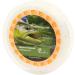 Buy Croch Weight Forward Fly Fishing Line WF 3F 4F 6F 7F 8F - 30.5m + Backing Line & Leader | Best International Shipping - Buy Online on GoSupps.com