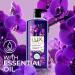 Shop Body Wash - Black Orchid & Juniper Oil - Paraben Free XL Pump Bottle Long Lasting Fragrance - 750 ml - Buy Online on GoSupps.com