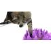 The Company of Animals CATCH Interactive Feeder - Purple | Buy Online - Buy Online on GoSupps.com