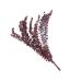 Cabilock Dried Eucalyptus Stems 10pcs Christmas Flower Arrangement Real Eucalyptus Leaves As Shown Size 3
