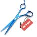 6.0 inch hair scissors set hair cutting scissors & thinning scissors with razor&comb in 1 set (Blue) - Buy Online on GoSupps.com