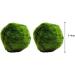k2aqua 2 Large Marimo Moss Balls Always Fresh Live Aquarium Plant Cladophora aegagropila K2AQUA - Buy Online on GoSupps.com