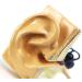 Ear Anatomical Model - Magnification 1.5X Inner Ear Ear System Structure Model Training Model for Medical Medical Practice - Buy Online on GoSupps.com
