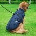 Dog Vest & Waterproof Coat - Winter Warm Harness - 9 Colors Available - Navy 3XL - Buy Online on GoSupps.com