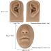 Luqeeg Soft Silicone Ear, Nose, and Mouth Model Set for Suture Practice and Acupuncture Display - 3D Flexible Body Simulation Props - Buy Online on GoSupps.com