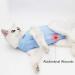Ouuonno Cat Wound Recovery Suit - Abdominal Wounds & Skin Disease Pajama for Cats & Dogs (Blue L) - Comfortable Post-Op & E-Collar Alternative - Buy Online on GoSupps.com