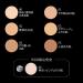 Kanebo Kate Skin Cover Filter Foundation - Standard Skin 02 | Buy Online - Buy Online on GoSupps.com