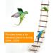 Phiezc Bird Toys - Wooden Ladders & Cage Accessories for Budgies Nymphicus & Cockatoos | 10-Part 64 cm Ladder - Buy Online on GoSupps.com