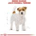 Royal Canin Dog Food Jack Russell Complete 7.5KG - Buy Online on GoSupps.com