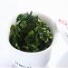 Oolong Tea 250g | Organic Tieguanyin Green Tea | Health Benefits | Premium Chinese Green Food - Buy Online on GoSupps.com