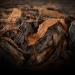 Palais Vieux Pu-Erh G teau au th cuit Premium Th noir Pu'er cologique du Yunnan 357g - Buy Online on GoSupps.com