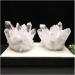 Gift Natural Beautiful White Crystal Cluster Quartz Raw Ore Home Decor Crafts Ornaments Specimens for Healing Crystals (Size : 600-700g) - Buy Online on GoSupps.com